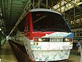 -Izukyu-2100-Izu-flower-Train.JPG