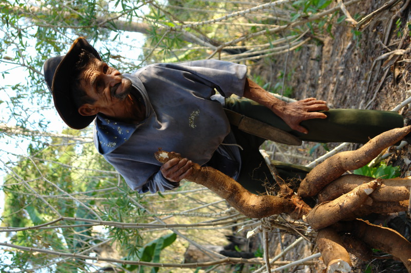 Seu Miguel, índio canela, morador da Volta grande do Xingu_1