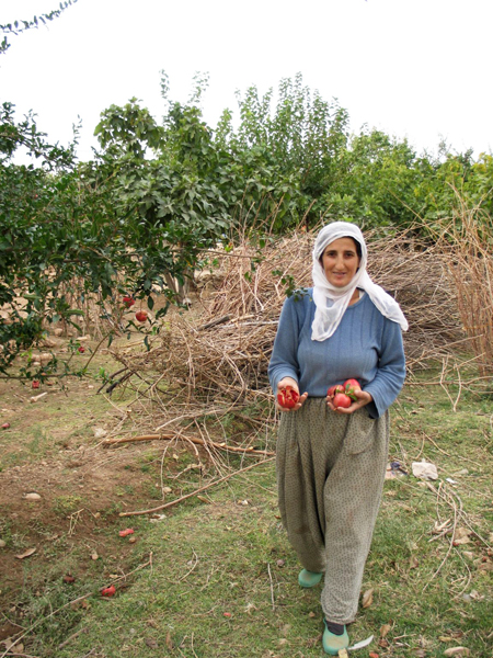 030_Frau-bei-Hasankeyf-zeigt-Fruechte