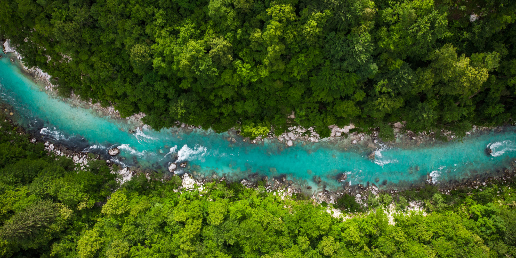River Soca cutting trough forest, Slovenia. Drone photo