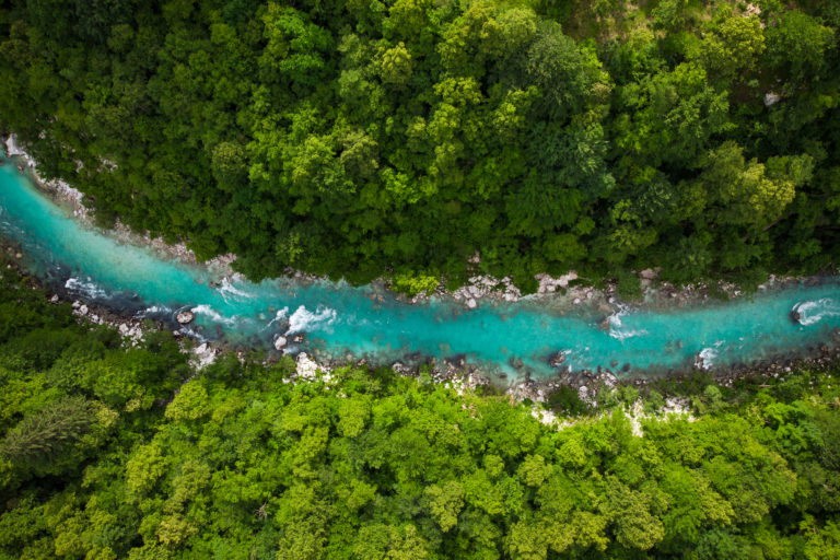 River Soca cutting trough forest, Slovenia. Drone photo