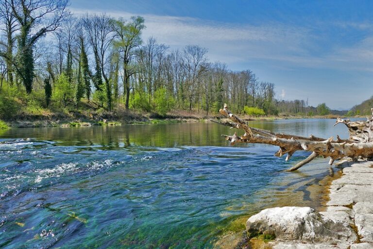 Alpenfluss-landscape-4137401_960_720